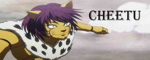 Cheetu Hunter x Hunter